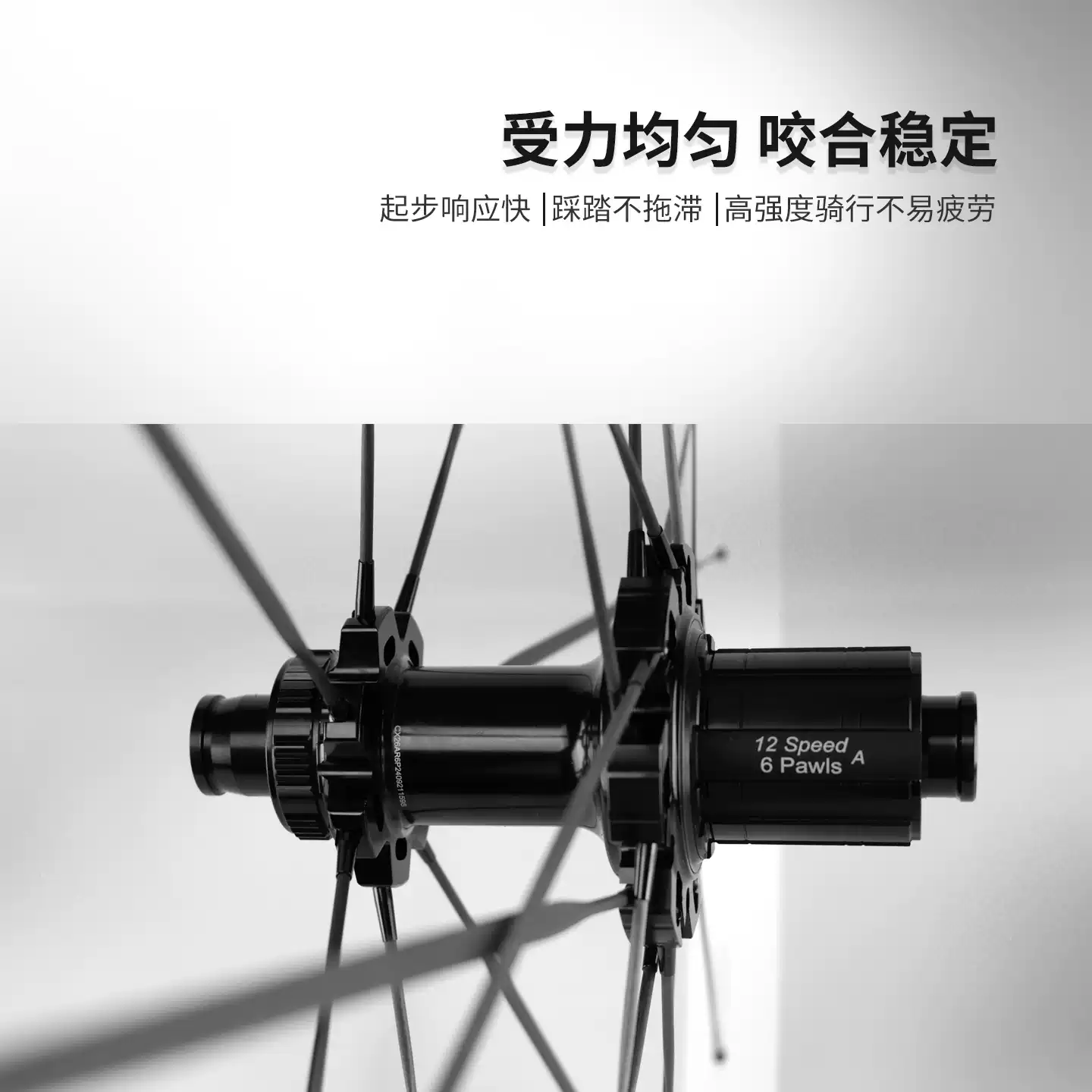 Bánh Xe Đạp Telser Nan Hoa Carbon, Phanh đĩa, Bộ Vành Carbon Dạng Sóng, Vành Carbon 700c Cx32 4